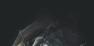 15 Bradford Rd Duxbury MA: Discover The Hidden Gem Of Coastal Living