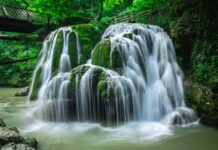 Duxbury VT: Discover Hidden Gems and Must-See Attractions Today