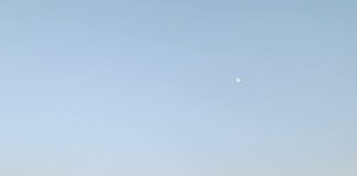 Houses For Sale Duxbury MA: Discover Stunning Homes You’ll Love