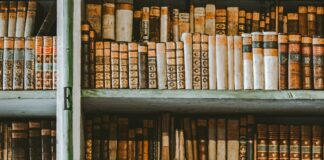 Duxbury Public Schools: Discover Top Tips For Exceptional Learning