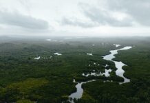 Tides Duxbury MA: Discover The Secrets Behind Coastal Changes