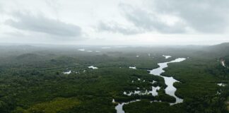 Tides Duxbury MA: Discover The Secrets Behind Coastal Changes