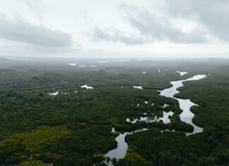 Tides Duxbury MA: Discover The Secrets Behind Coastal Changes