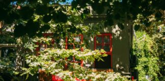 Namaste Cafe Duxbury: Discover The Hidden Gem For Authentic Flavours