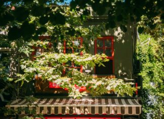 Namaste Cafe Duxbury: Discover The Hidden Gem For Authentic Flavours