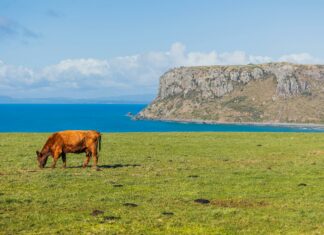 Bay Farm Duxbury: Discover Stunning Coastal Living and Hidden Gems
