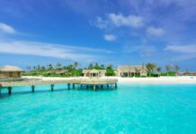 Island Creek Oysters Duxbury Ma: Why Are They So Irresistible?