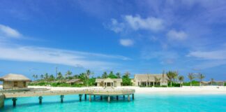 Island Creek Oysters Duxbury Ma: Why Are They So Irresistible?