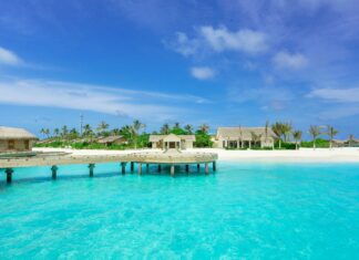 Island Creek Oysters Duxbury Ma: Why Are They So Irresistible?