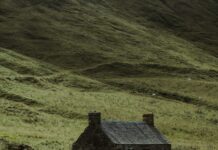 Island Creek Oyster Farm Duxbury: Discover Nature’s Hidden Gem