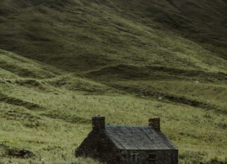 Island Creek Oyster Farm Duxbury: Discover Nature’s Hidden Gem