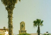 Tsang’s Cafe Duxbury MA: Discover The Hidden Gem You Must Visit