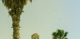 Tsang’s Cafe Duxbury MA: Discover The Hidden Gem You Must Visit