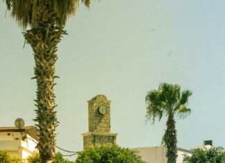 Tsang’s Cafe Duxbury MA: Discover The Hidden Gem You Must Visit