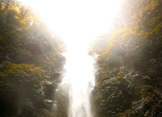 Dbms Duxbury: Discover Powerful Features That Boost Your Database