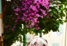 47 Summer Street Duxbury MA: Discover Hidden Gems and Local Secrets