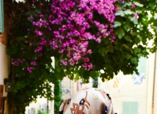 47 Summer Street Duxbury MA: Discover Hidden Gems and Local Secrets