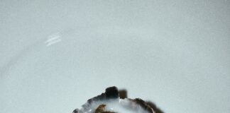 Duxbury Oyster Secrets Revealed: Why They’re Britain’s Finest Delight