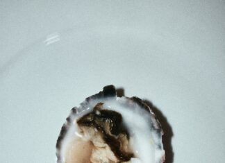 Duxbury Oyster Secrets Revealed: Why They’re Britain’s Finest Delight