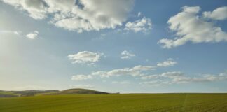 Bongi’s Turkey Farm Duxbury: Discover The Secret To Freshness