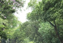 Standish Humane Society Duxbury: Discover How They Transform Lives