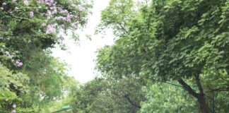 Standish Humane Society Duxbury: Discover How They Transform Lives