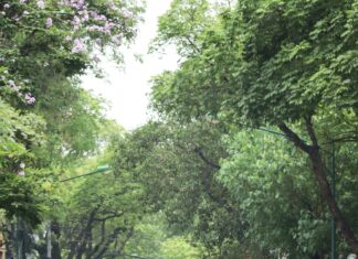 Standish Humane Society Duxbury: Discover How They Transform Lives