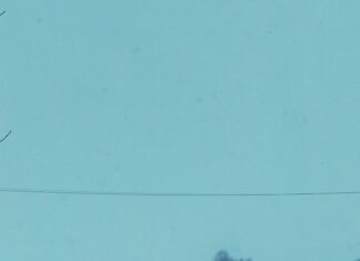 Weather For Duxbury MA: Discover Surprising Local Climate Facts Today