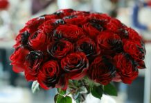 Duxbury Florist Secrets: How To Choose Stunning Blooms Easily