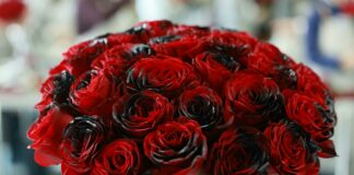 Duxbury Florist Secrets: How To Choose Stunning Blooms Easily