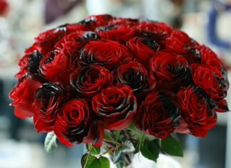 Duxbury Florist Secrets: How To Choose Stunning Blooms Easily