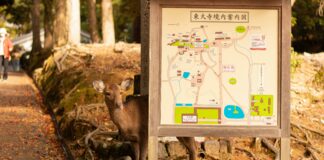 Duxbury Map Secrets Revealed: Unlock Hidden Local Treasures Today