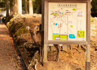 Duxbury Map Secrets Revealed: Unlock Hidden Local Treasures Today