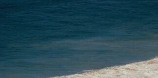 Tides For Duxbury MA: Discover Secrets To Perfect Coastal Timing