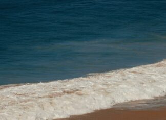 Tides For Duxbury MA: Discover Secrets To Perfect Coastal Timing