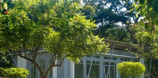 Zillow Duxbury: Discover Hidden Gems and Expert Home Tips