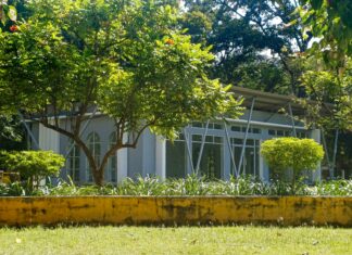 Tsang’s Duxbury: Discover The Hidden Gem Everyone Is Talking About