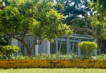 What Are The Precincts In Duxbury? Discover Hidden Gems Today