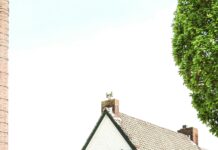 Bluefish Tavern Duxbury: Why Locals Can’t Stop Raving About It