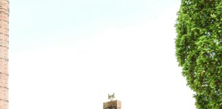 Bluefish Tavern Duxbury: Why Locals Can’t Stop Raving About It