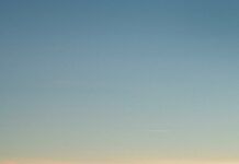 Duxbury Harbormaster Secrets: How They Keep Boats Safe Daily