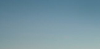 Duxbury Harbormaster Secrets: How They Keep Boats Safe Daily