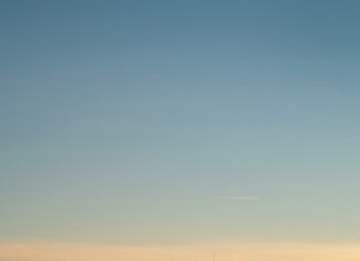 Duxbury Harbormaster Secrets: How They Keep Boats Safe Daily