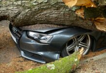 Car Accident Duxbury MA: What To Do Immediately After Impact