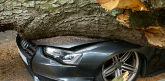 Car Accident Duxbury MA: What To Do Immediately After Impact