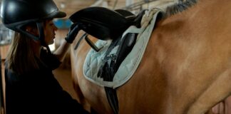 Bay Farm Montessori Academy Duxbury MA: Discover Its Unique Benefits