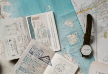 Patrick Clancy Duxbury Secrets: Discover His Remarkable Journey