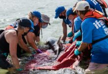 Duxbury Beach MA Secrets: Why Locals Love This Coastal Gem