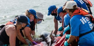 Duxbury Beach MA Secrets: Why Locals Love This Coastal Gem
