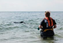 Duxbury Ma Beach Sticker Secrets: Why You Need One Today